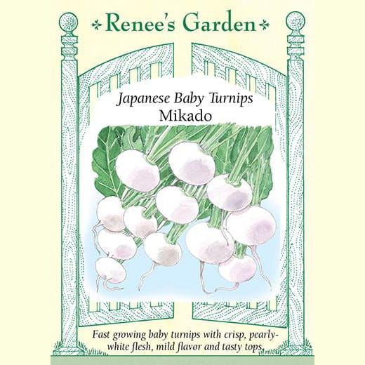 Japanese Turnips Mikado - Renee's Garden