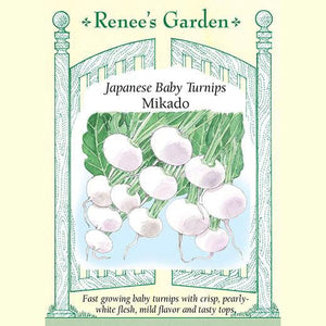 Japanese Turnips Mikado - Renee's Garden 