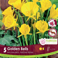 Narcissus (Mini) - Golden Bells, 5 Pack