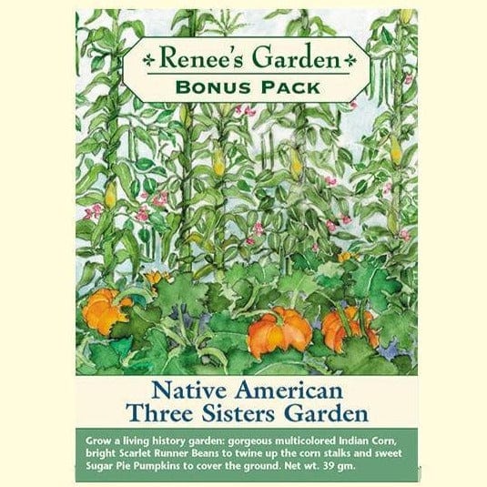 native american garden seeds Native American 3 Sisters Bonus Pack