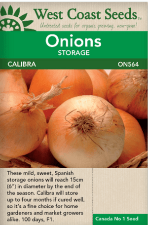 Onions Calibra - West Coast Seeds