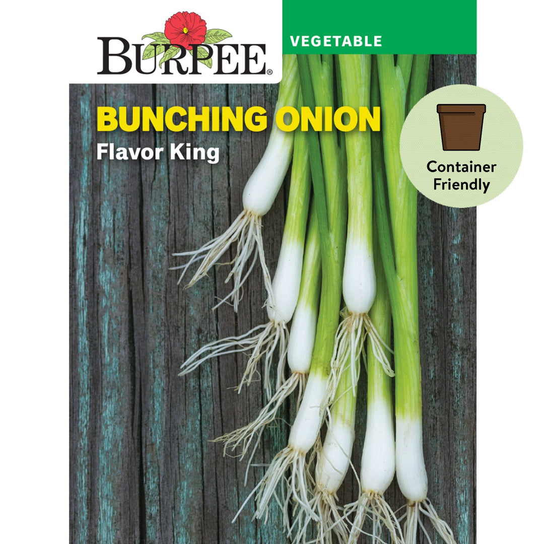 Onion Flavor King (Bunching) - Burpee Seeds