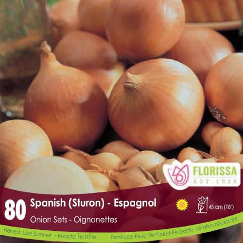 Onion Spanish Planting Onion Sets, 80 Pack Wildwood Outdoor Living