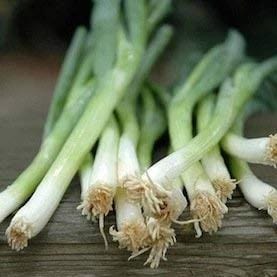 Scallion White Lisbon - Cornucopia Seeds