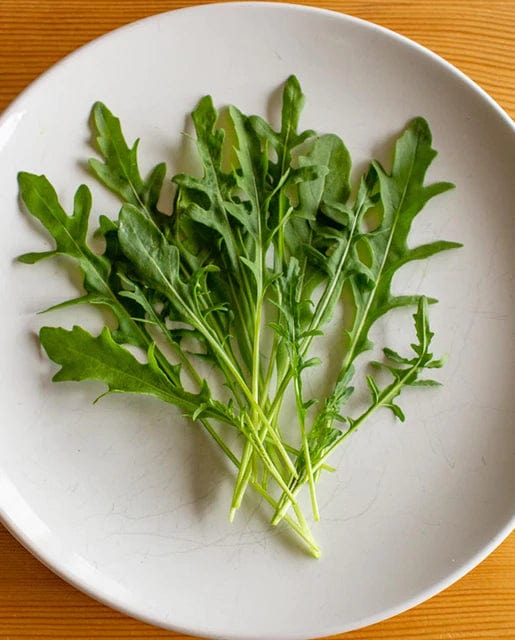Organic Arugula Selvatica - West Coast Seeds