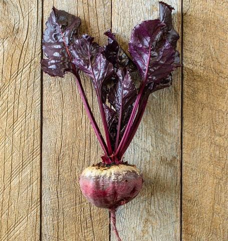 Organic Beet Bull's Blood - West Coast Seeds