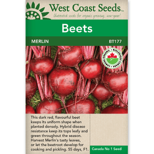 Beets Merlin Organic - West Coast Seeds