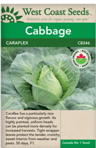 Cabbage Caraflex - West Coast Seeds