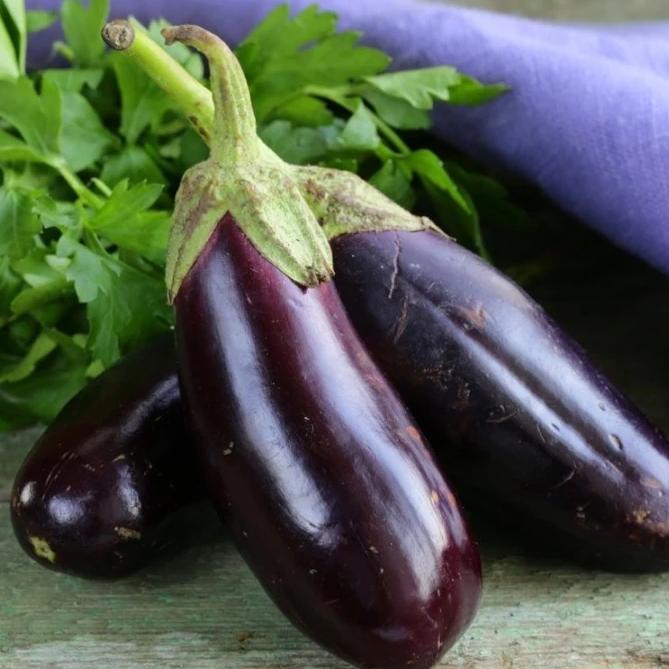 Eggplant Diamond -Metchosin Farm