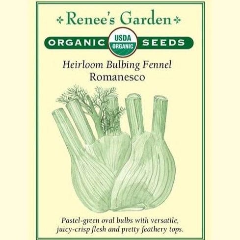 Fennel Romanesco - Renee's Garden Seeds