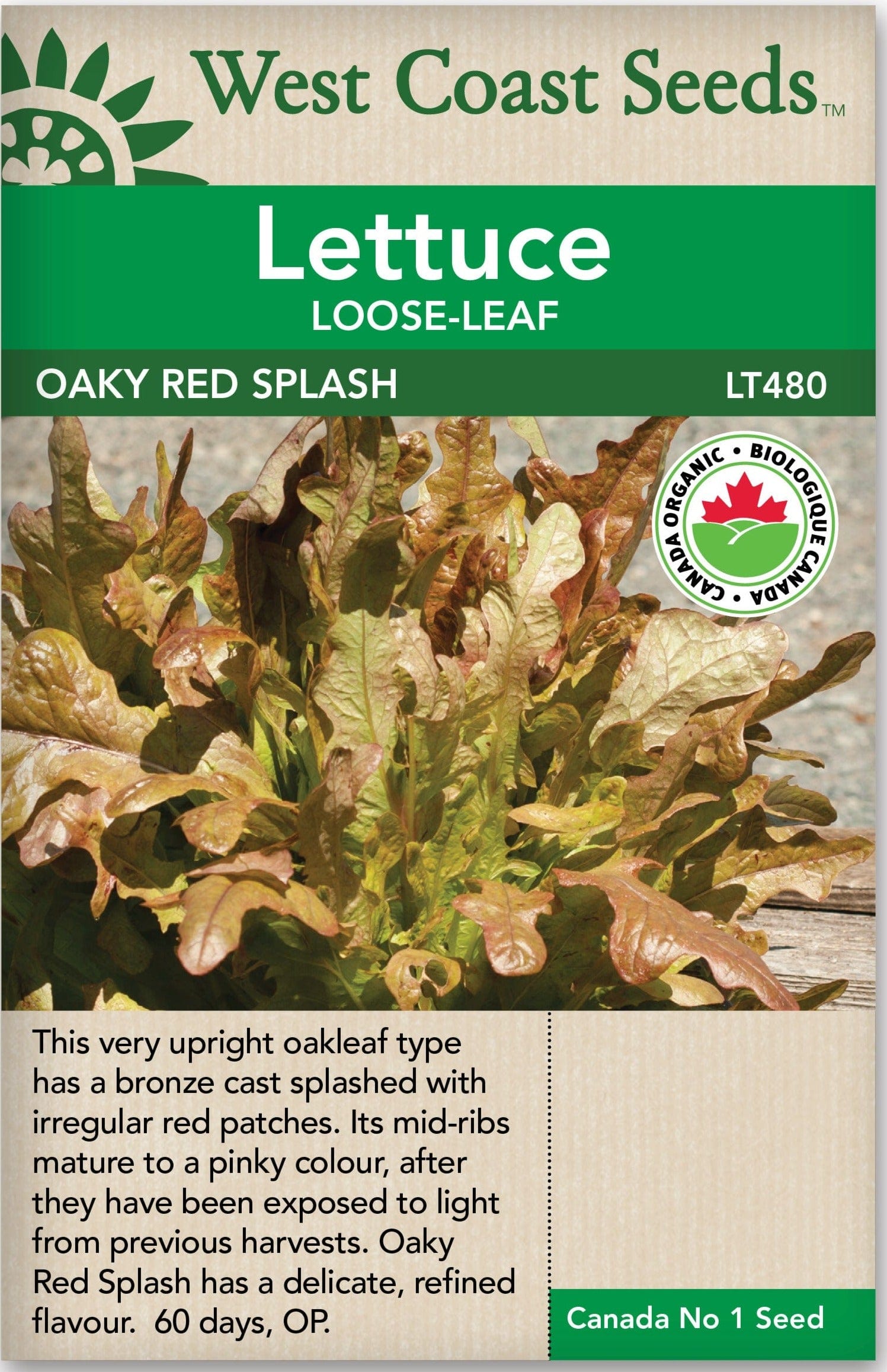 Organic Lettuce Oaky Red Splash West Coast Seeds Wildwood Outdoor