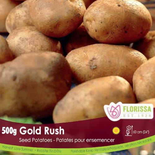 Organic Potato - Gold Rush, 500g