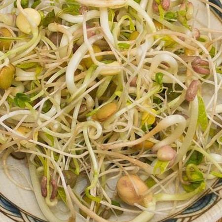 Sprouting Gourmet Blend - West Coast Seeds