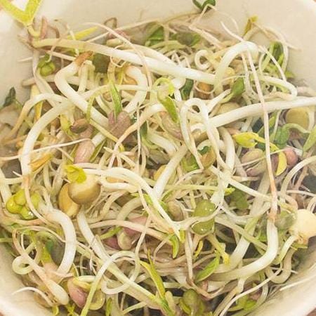 Sprouting Green Hunter Blend - West Coast Seeds