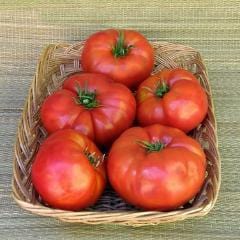 Tomatoes Brandywine - Renee's Garden