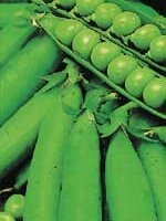 Pea Homesteader/Lincoln - Ontario Seed Company