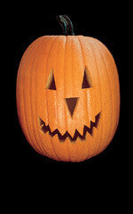 Pumpkin Jack O'Lantern - Ontario Seed Company