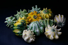 Gourd Crown of Thorns - Ontario Seed Company