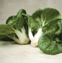 Cabbage Baby Pak Choi - Aimers