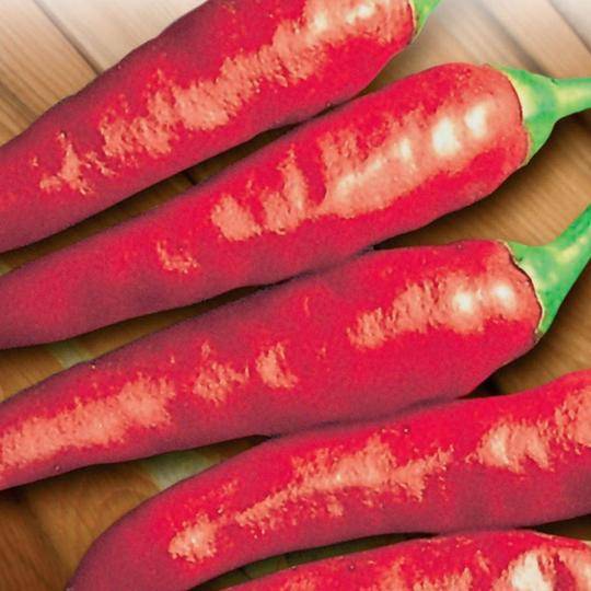 Pepper Super Chili Hybrid - McKenzie Seeds