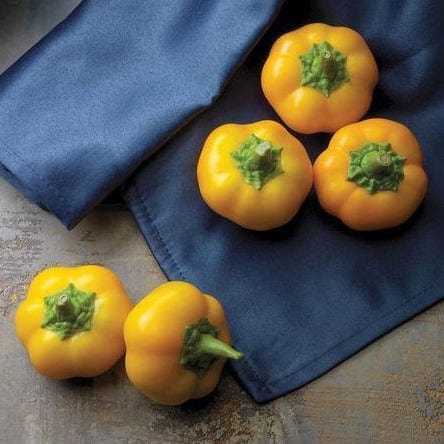 Pepper Yes to Yellow - West Coast Seeds