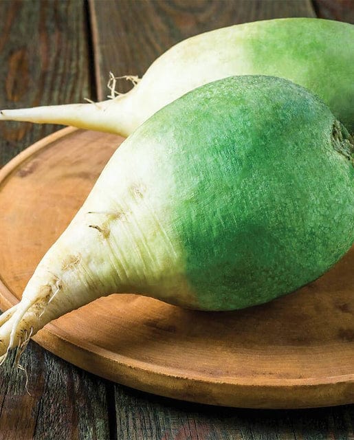 Radish Wasabi - West Coast Seeds