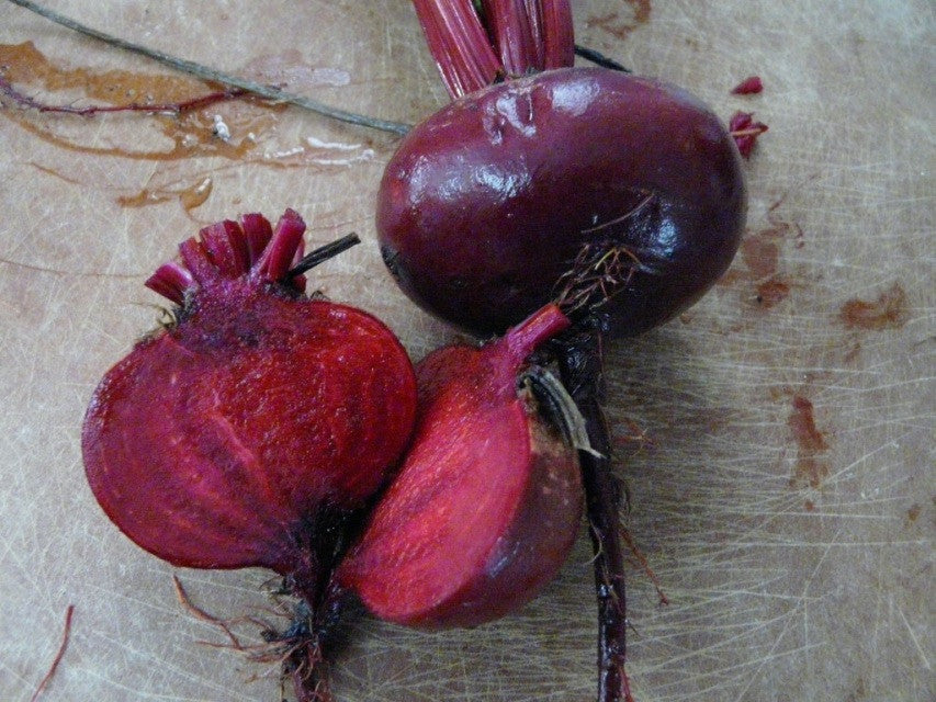 Beet Early Wonder Tall Top - Salt Spring Seeds