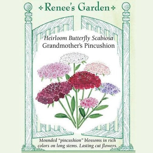 grandmother cut flower garden seed Scabiosa Grandmother's Pincushion