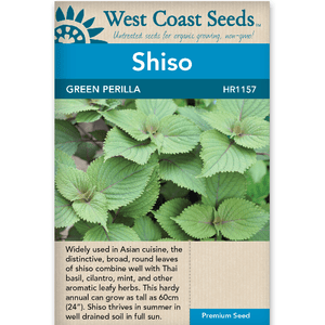 Shiso Green Perilla - West Coast Seeds