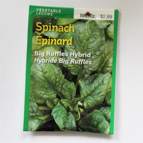 Spinach Big Ruffles - Burpee Seeds