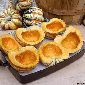 Winter Squash Festival Acorn - Renee's Garden Seeds