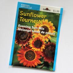 Sunflower Evening Sun - Burpee Seeds