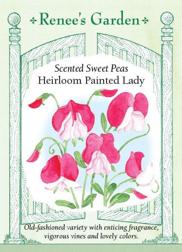 renee's garden sweet pea seeds Sweet Pea Heirloom Painted Lady
