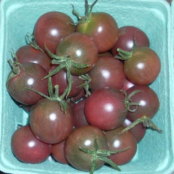 Tomatoes Chocolate Cherry - Good Earth Farms
