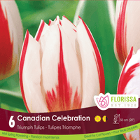 Tulip - Canadian Celebration, 6 Pack