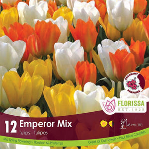 Tulips Emperor Mix