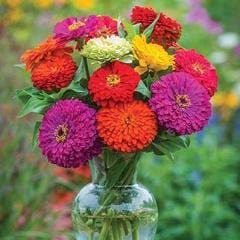 Zinnia Giant Flowered Mix - Burpee Seeds