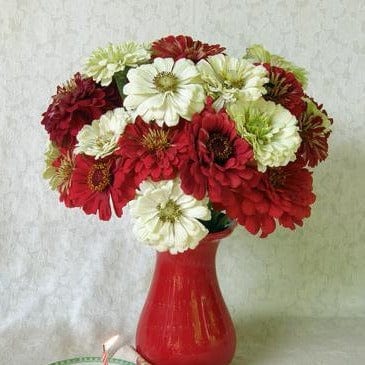 Zinnia Happy Birthday Mix - Renee's Garden Seeds