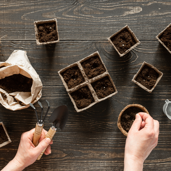 February 2023 Gardening Tips