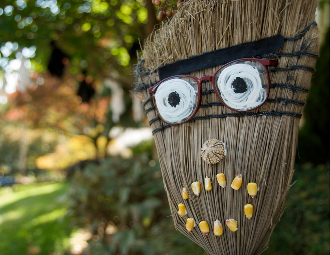 October Gardening Tips
