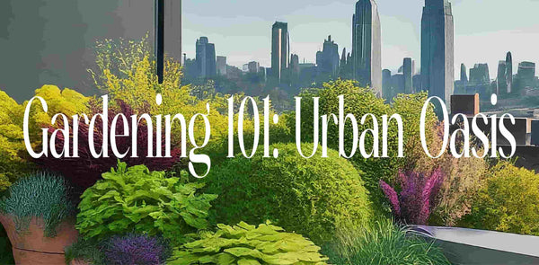 Urban Oasis: Unlock the Secrets of Thriving Container Gardens