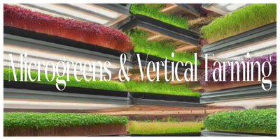 Tiny Titans of Flavor: Microgreens Take Root in Vertical Gardens