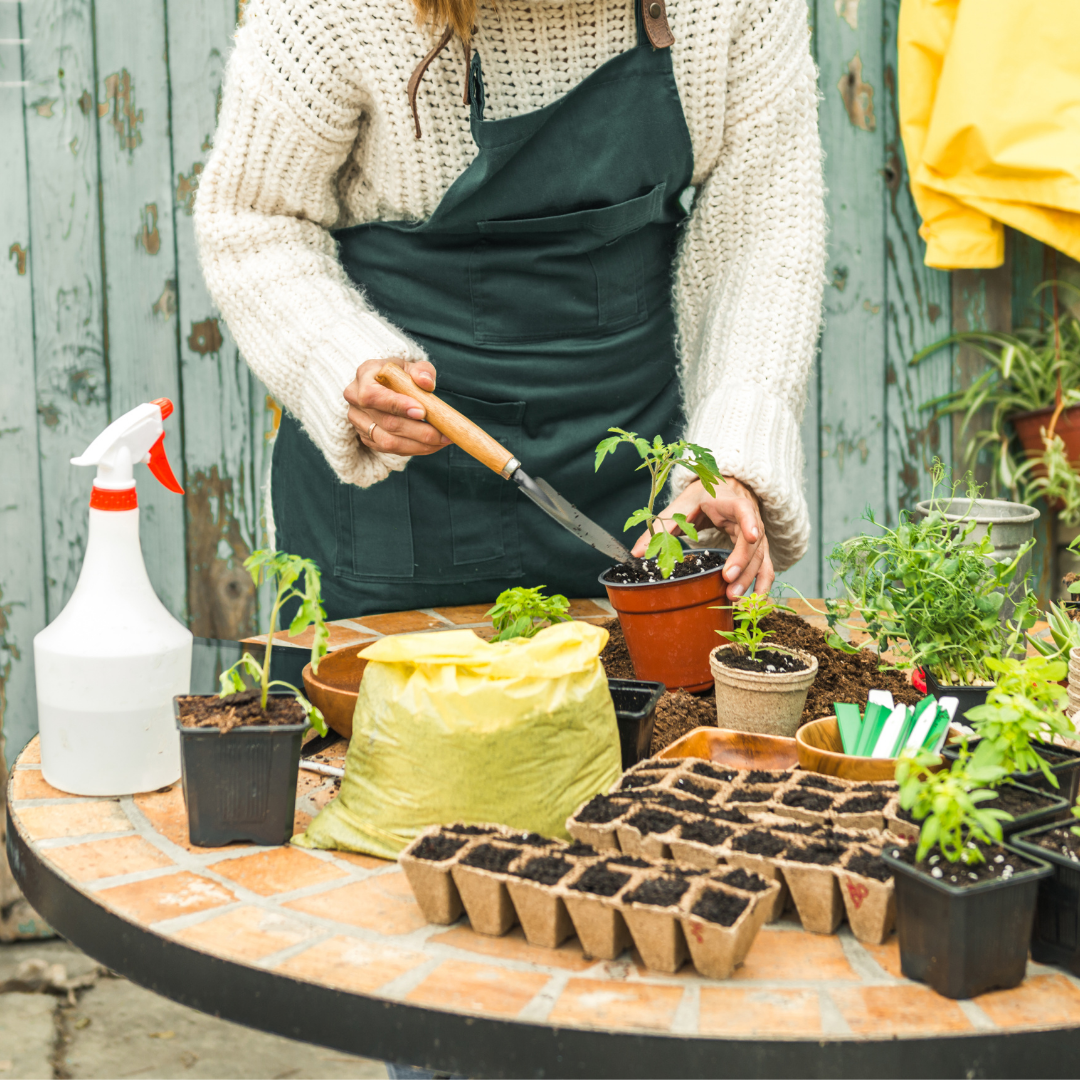 March Gardening Tips