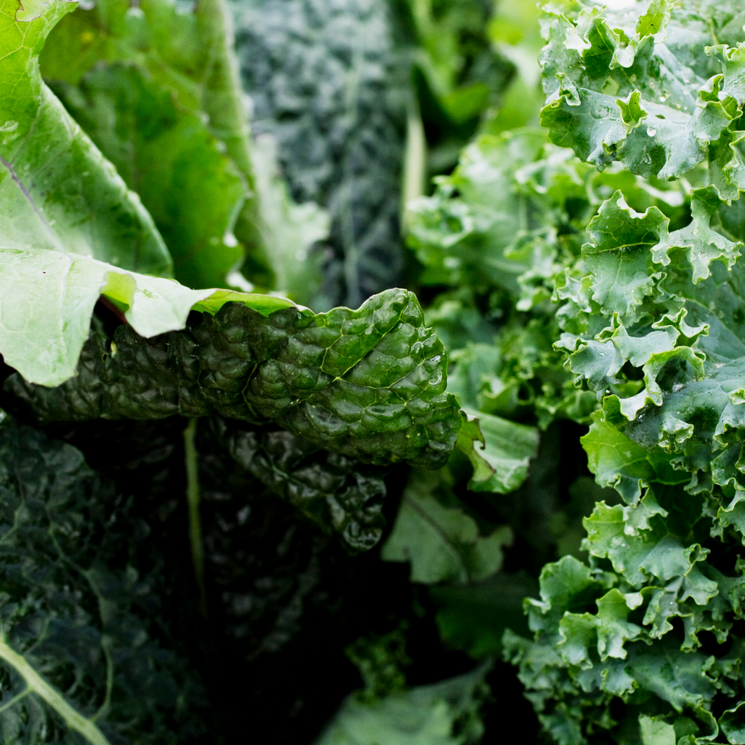 Leafy Greens 101