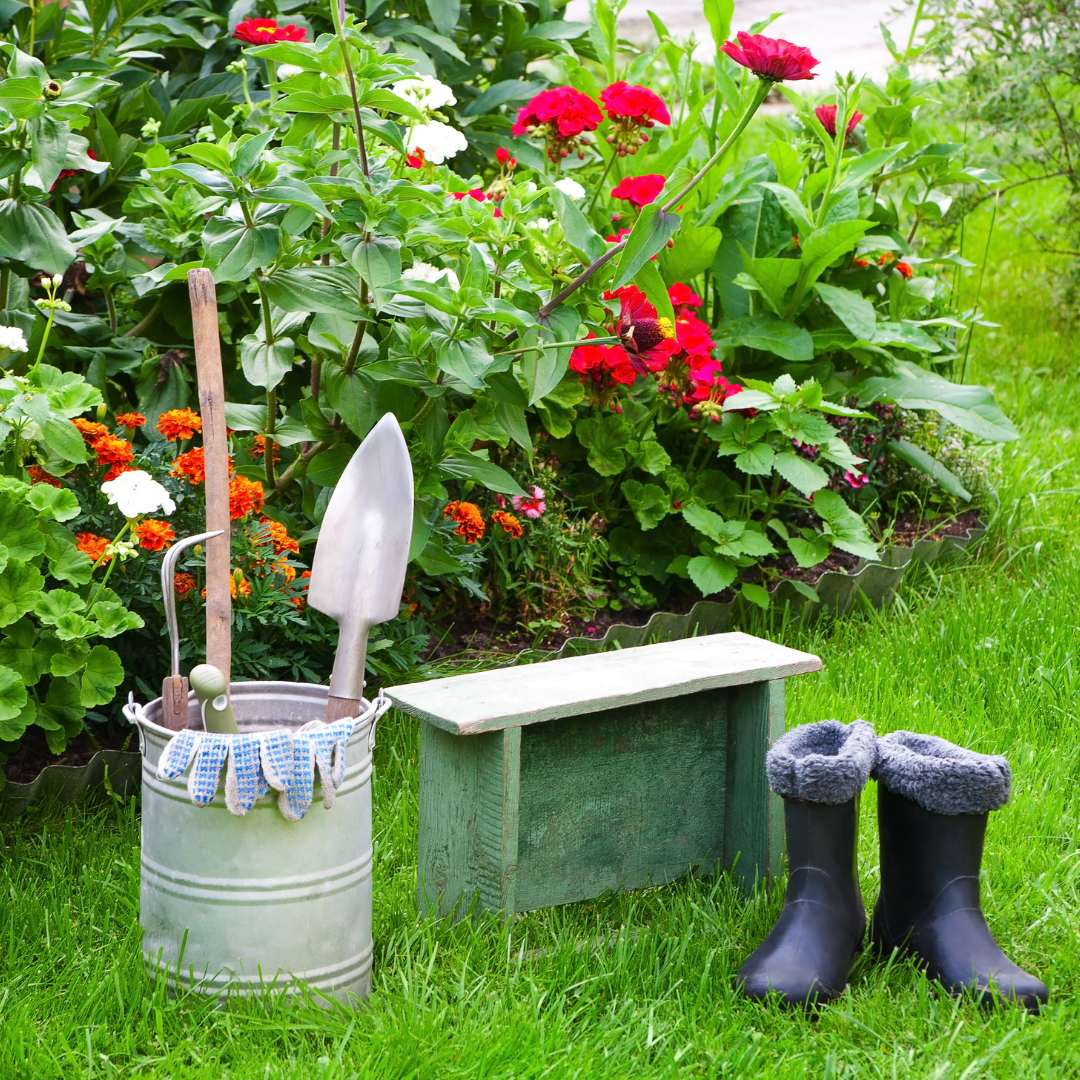 May Gardening Tips