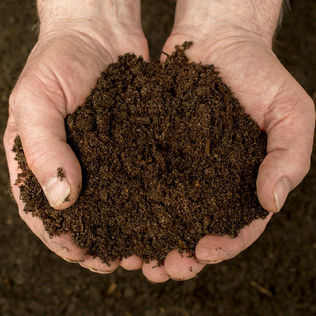 Top 5 Reasons To Compost