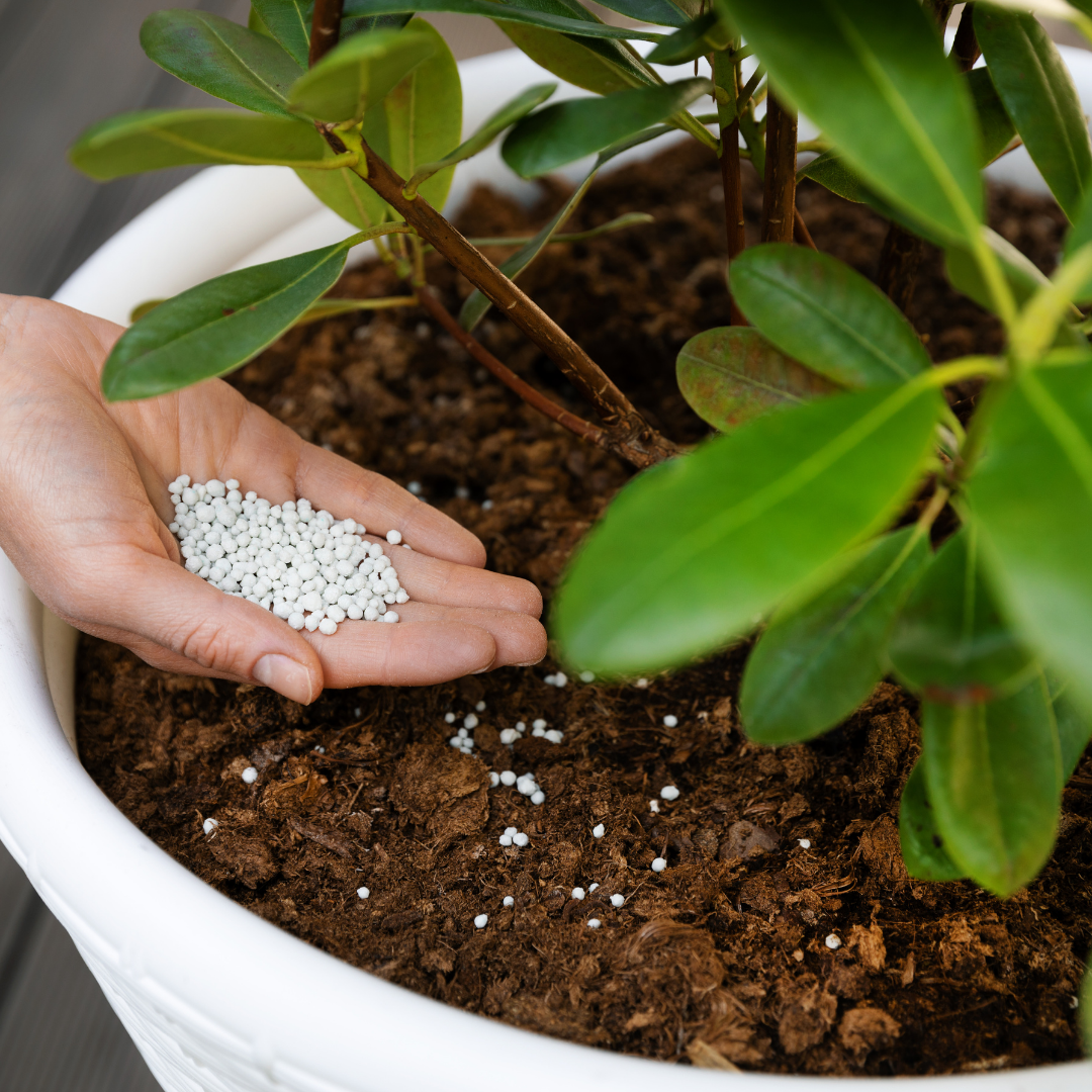 Fertilizers 101