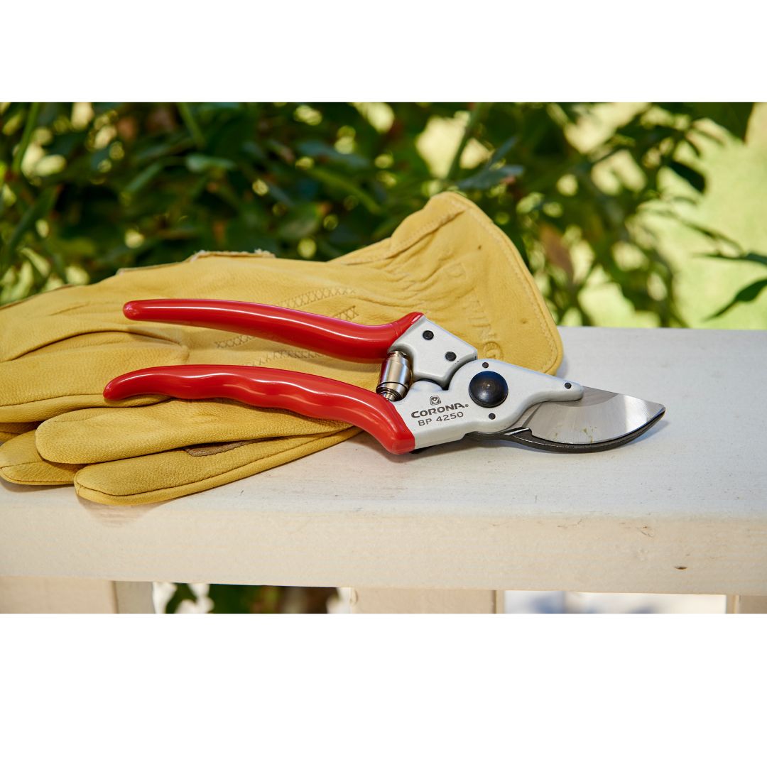 Garden Pruners