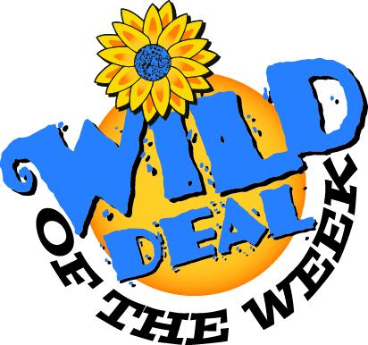 Wild Deals for the Week | Wildwood Express