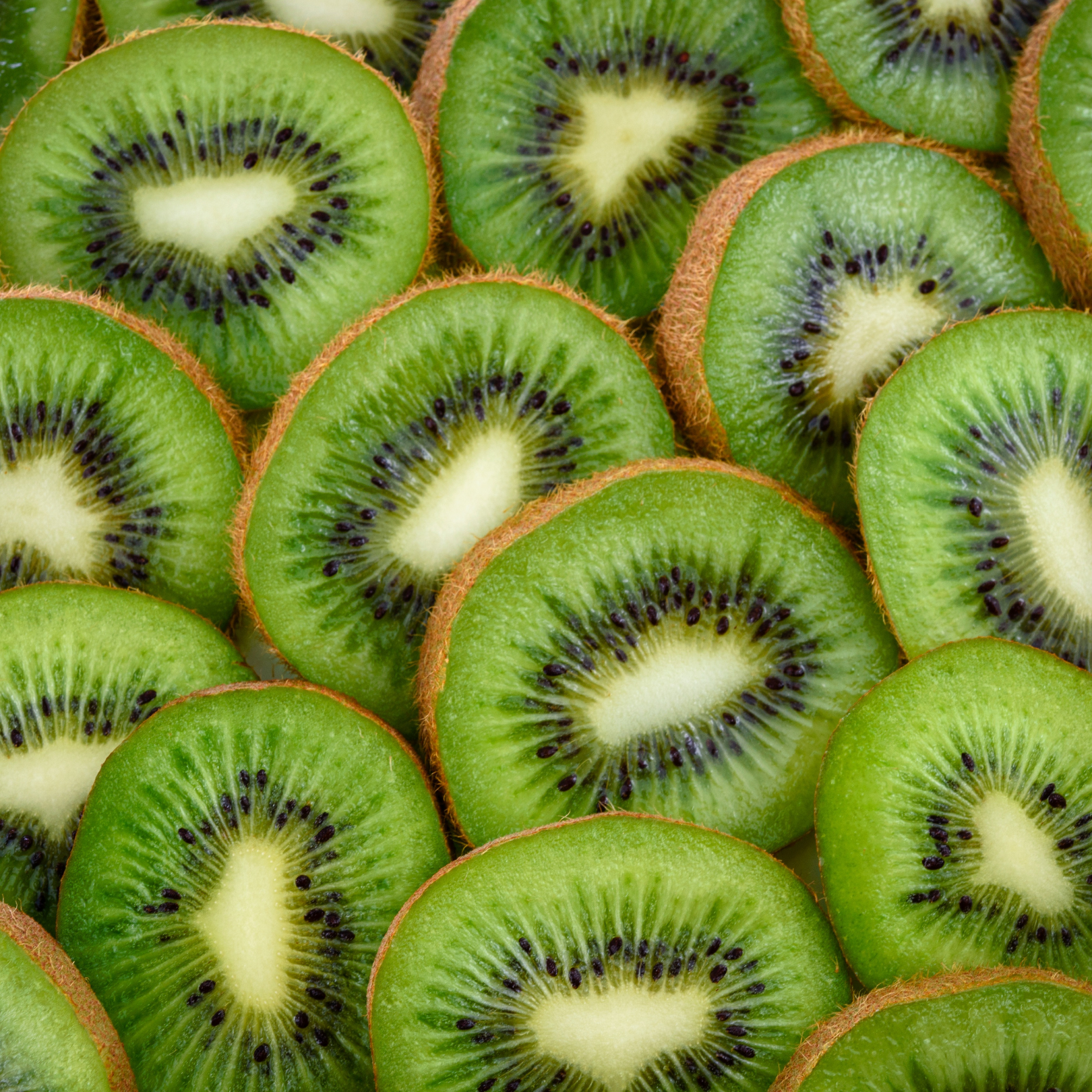 Kiwifruit Plants